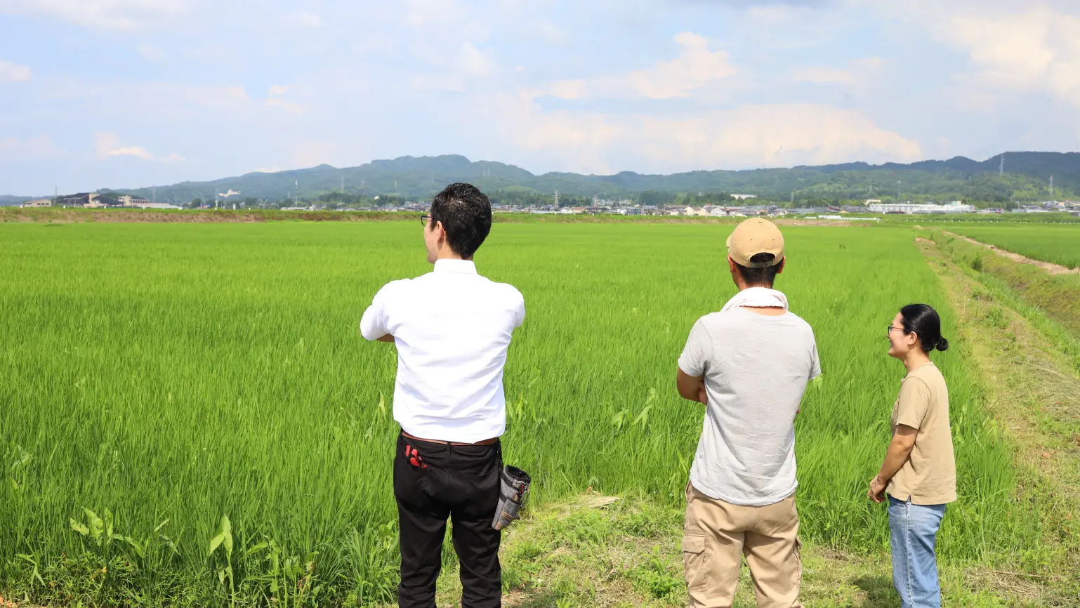 田園を眺める人々