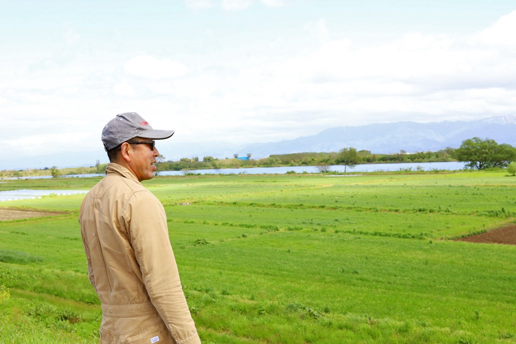 014ロイアルヒルホルスタインズさんの牧草地と坂井武史さん