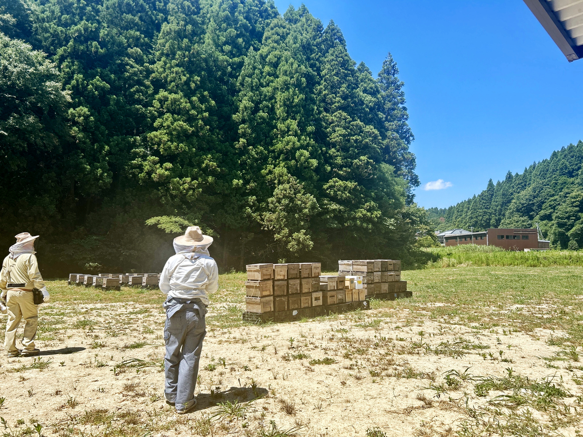 04_橋元養蜂園本社裏の養蜂場