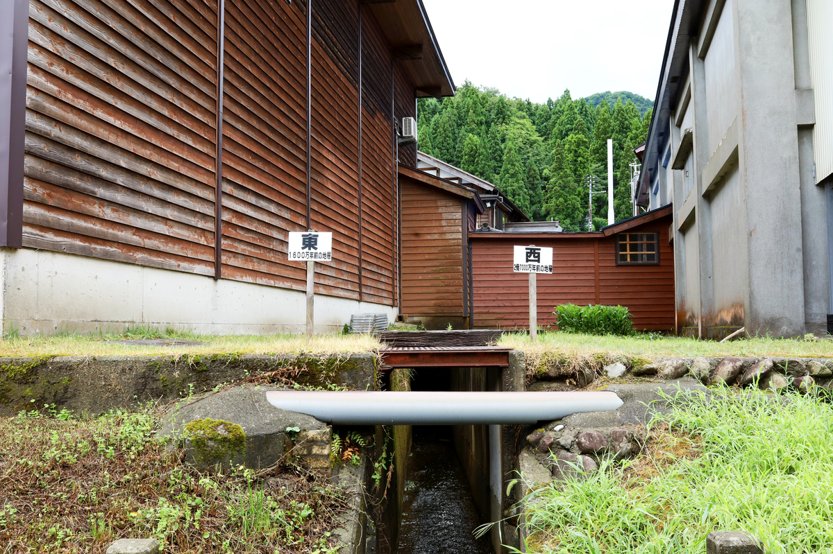 020_渡辺酒造店フォッサマグナ