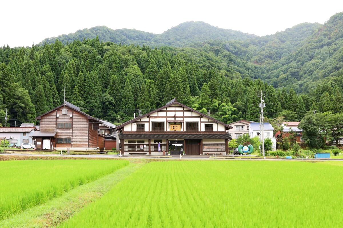 011_渡辺酒造店豊醸蔵と田んぼ