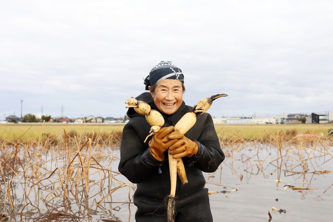 五泉市木越地区で自然栽培のレンコンを育てる羽賀恵子さん「KEIKO PRINCESS OF LOTUS(ケイコ・プリンセス・オブ・ロータス)」